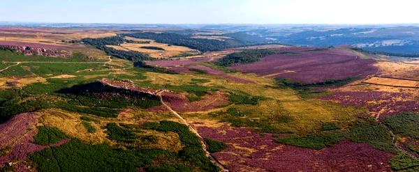 ### Понимание сервисов беспилотных летательных аппаратов FPV