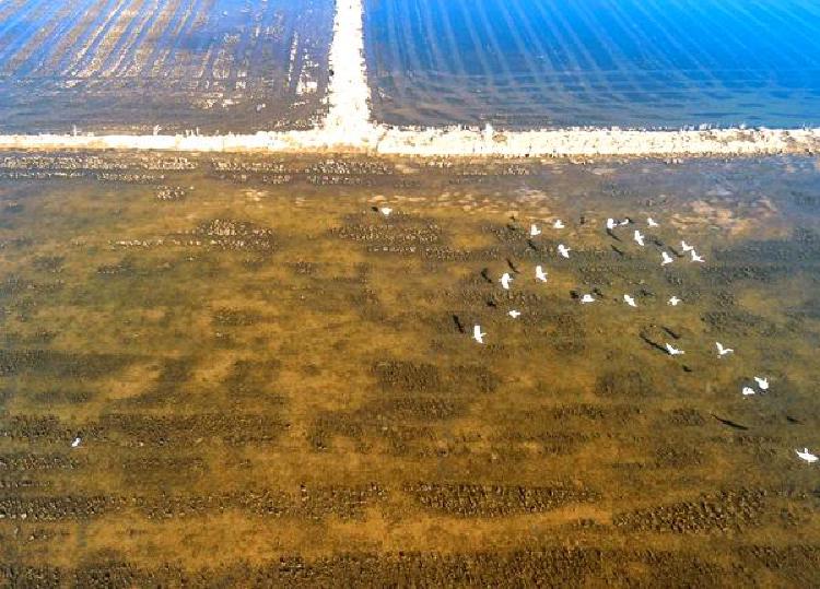 Танец с наклейками: Создание движения в графике беспилотника FPV