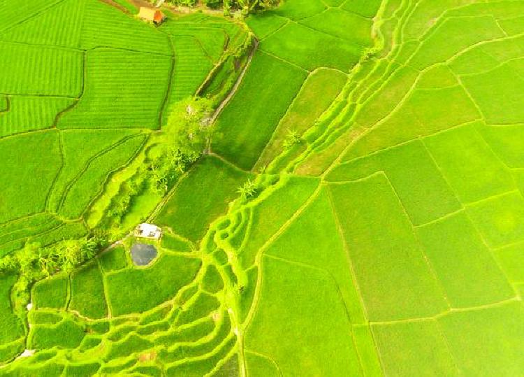 Гонки в небесах: Основные моменты соревнований FPV-дронов