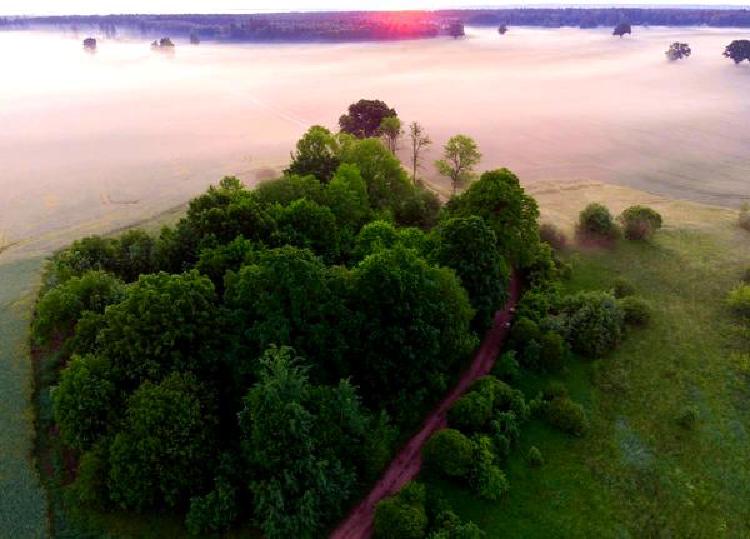 Гонки в стихии: Как погодные условия влияют на соревнования беспилотников FPV