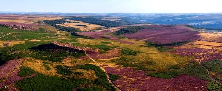 Дроны по запросу: Советы по настройке сервисов FPV-дронов