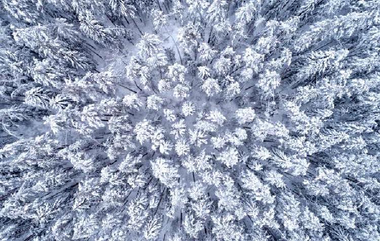 Гонки на дронах FPV: Настройка вашей гоночной трассы