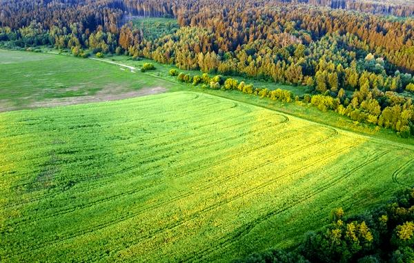 ### Обзор беспилотных летательных аппаратов FPV